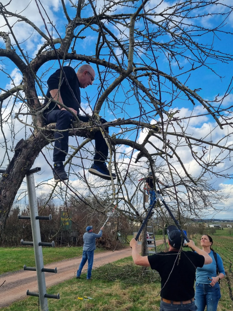 Obstbaumschnittworkshop bei strahlendem Sonnenschein und hochmotivierten Teilnehmer/innen